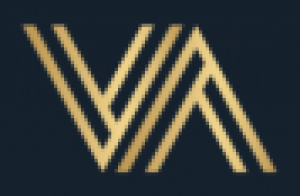 Vision Asset Group
