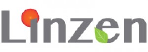 Linzen Real Estate