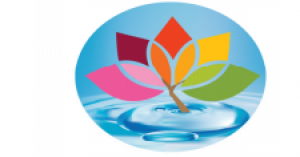 Real Estate Action Sales and Management