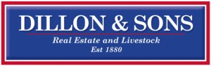 Dillon and Sons Pty Ltd